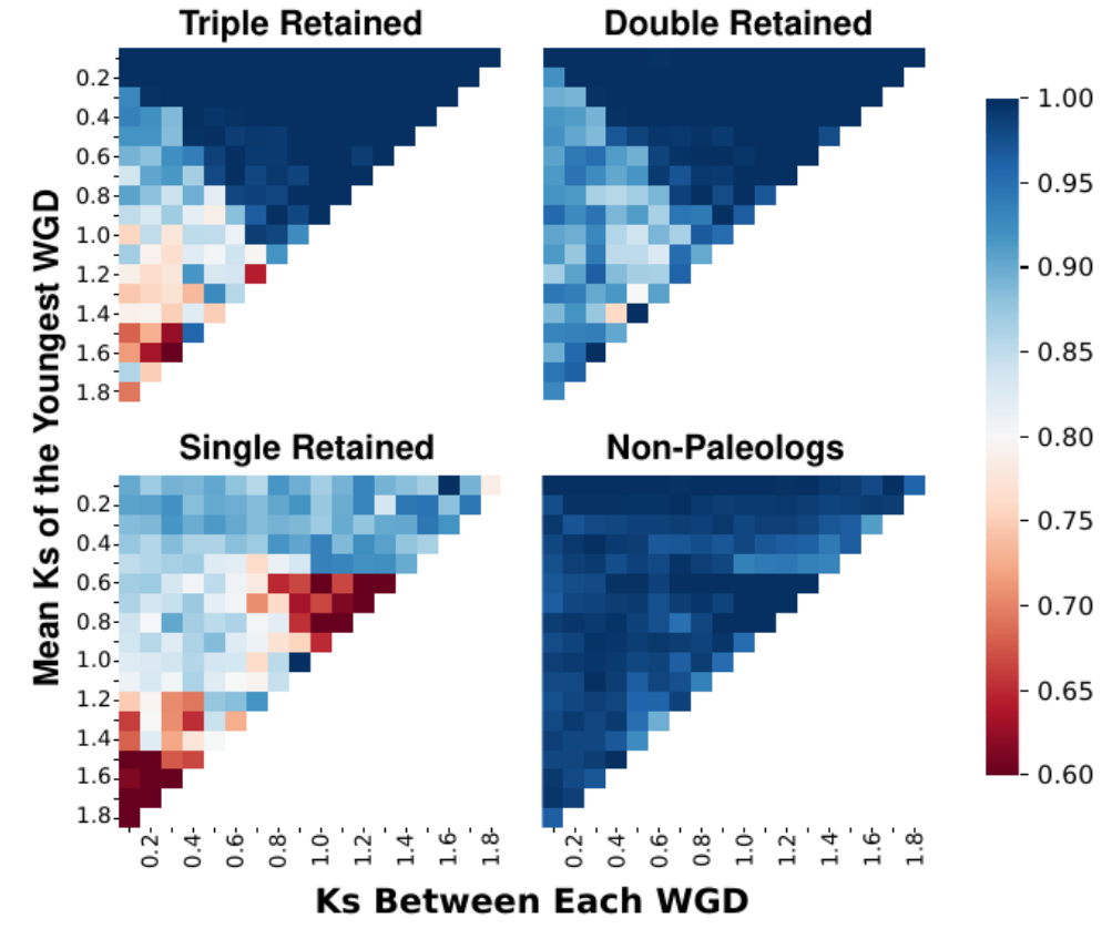 Frackify machine learning classification of gene duplication origins