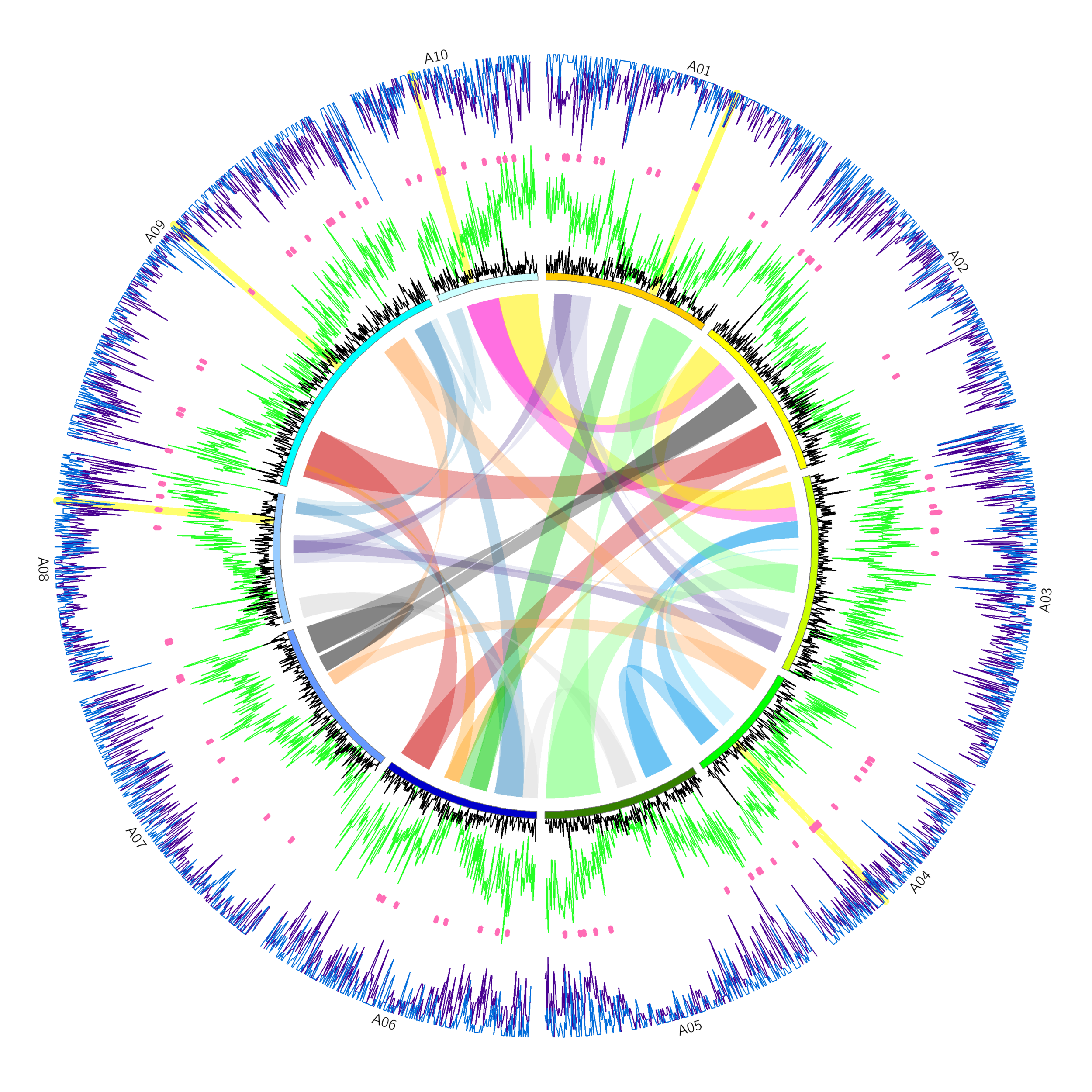 Computational Genomics