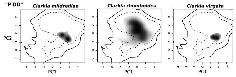 Climatic niche overlap between allopolyploid and diploid progenitors