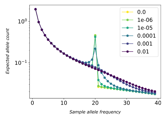 Effect of homoeologous exchange rate on the tetraploid site frequency spectrum