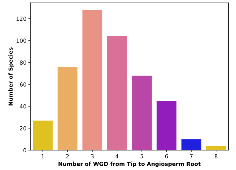 WGD inference in flowering plants