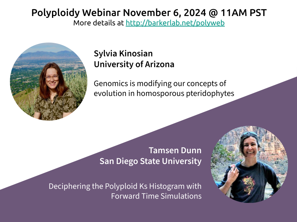 November 6, 2024 webinar flyer